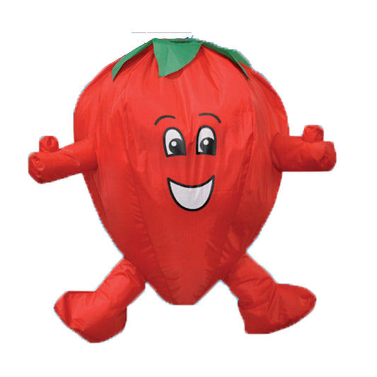  Strawberry Windsock